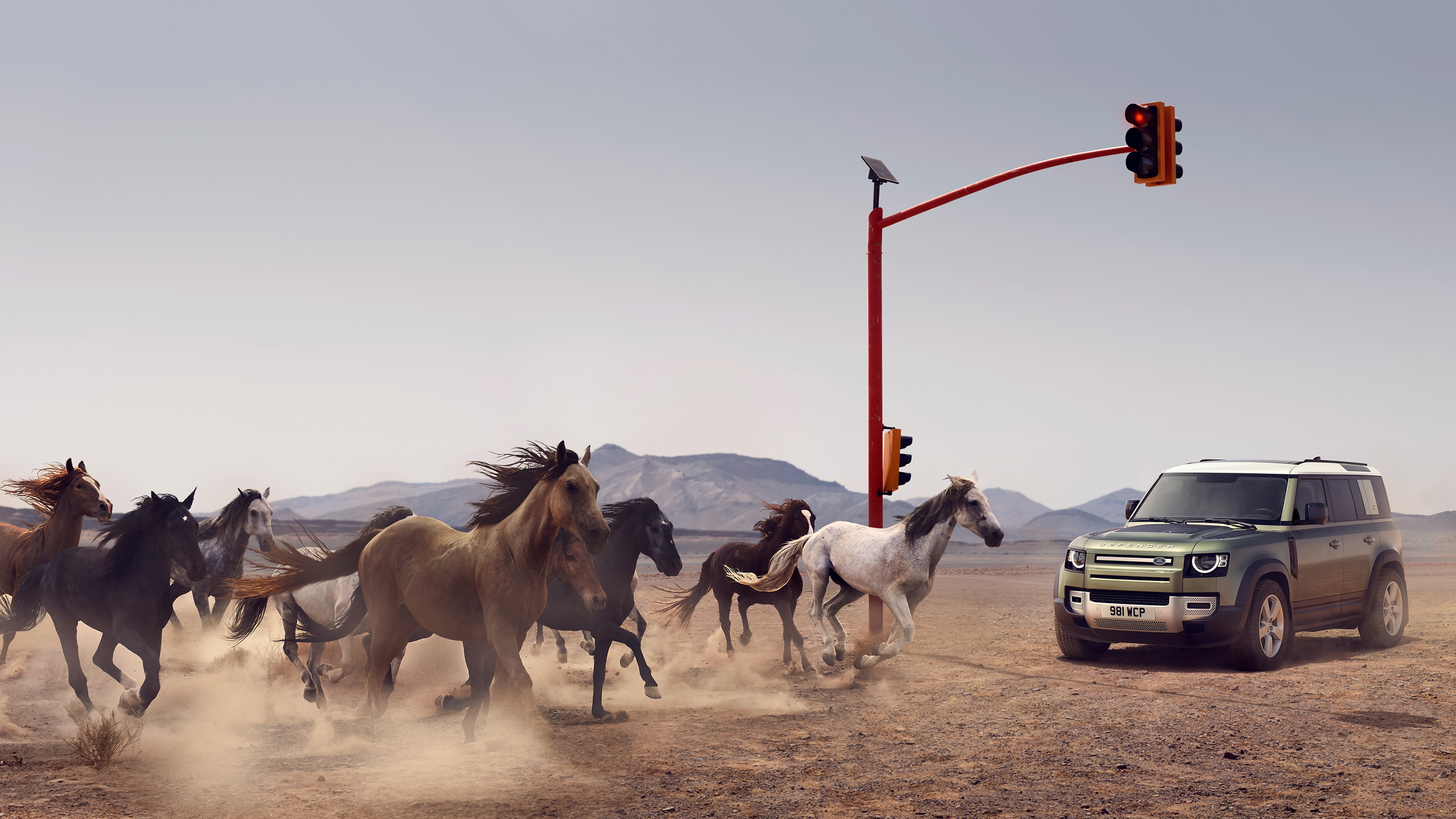 Trigger Shoots | Defender Above & Beyond