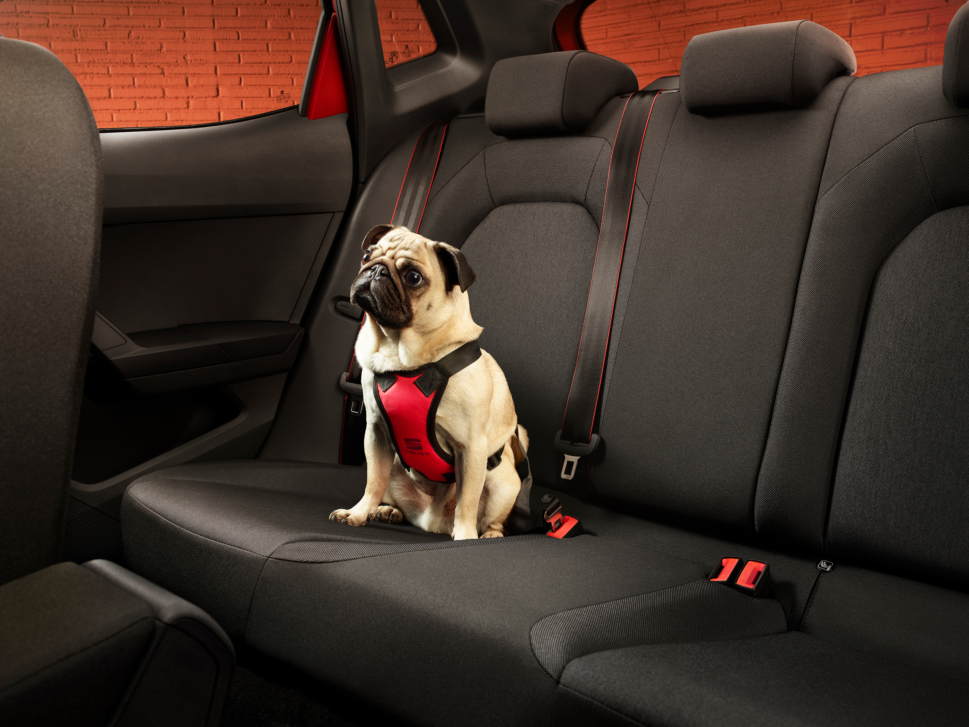 Trigger Shoots Seat Arona photoshoot