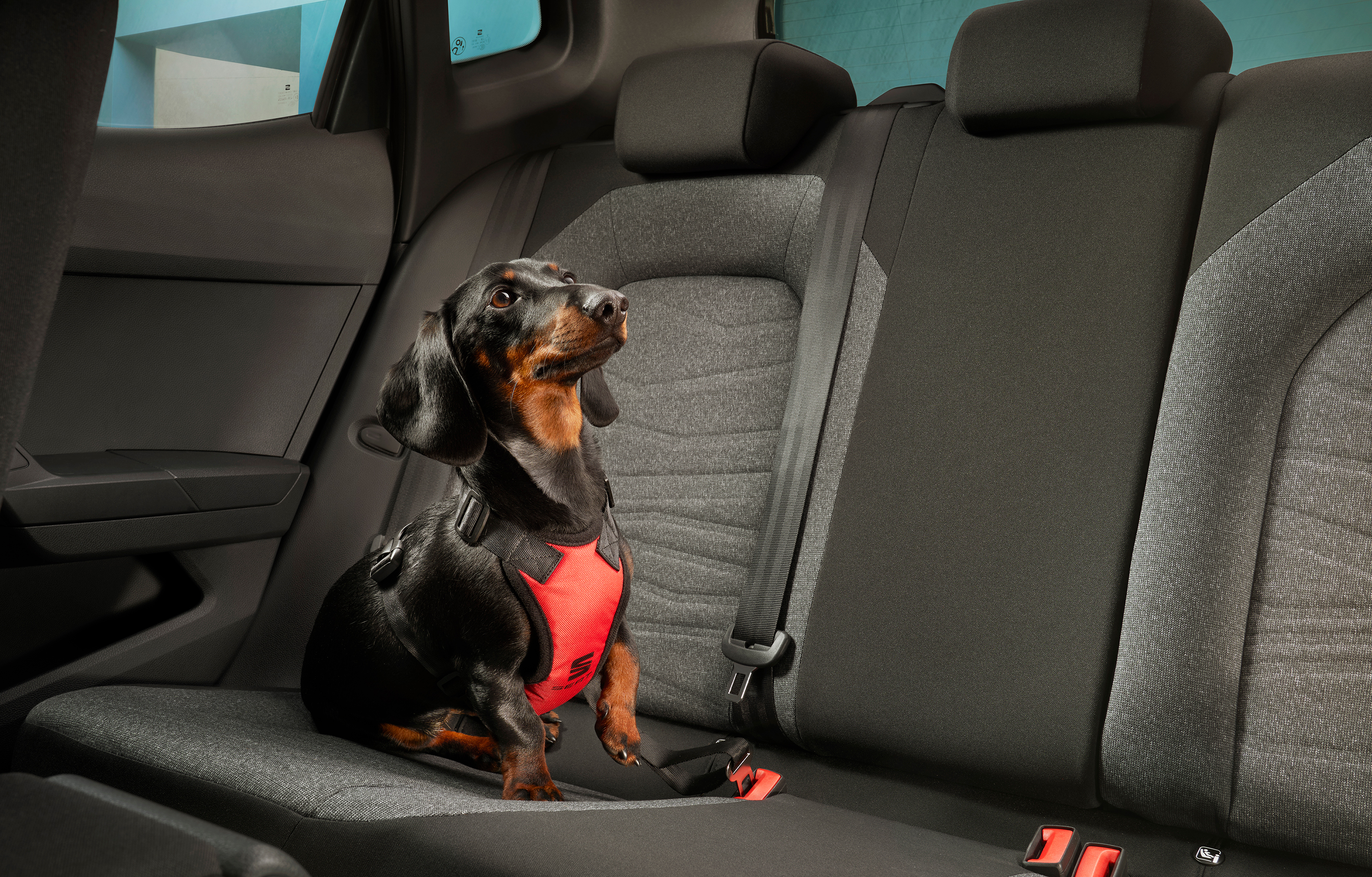 Trigger Shoots Seat Arona photoshoot